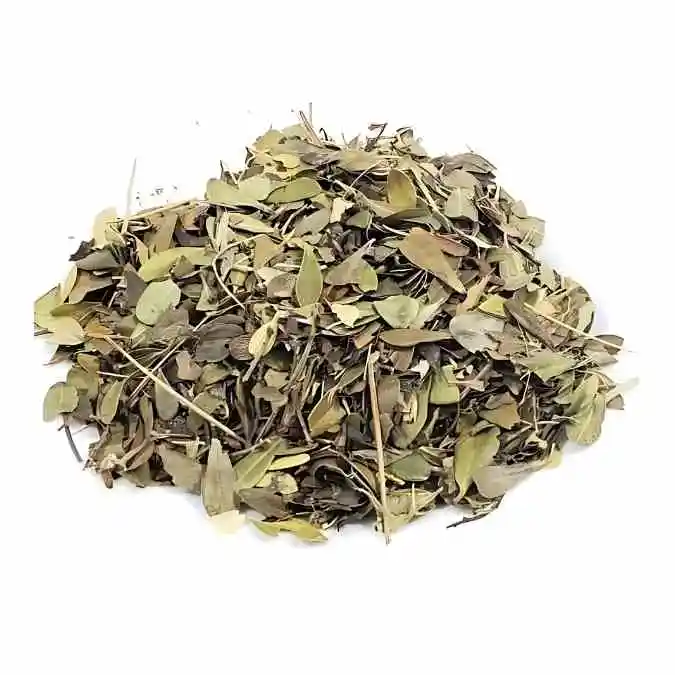 Uva-Ursi  Pacote - 1 Kg da Rock Snack