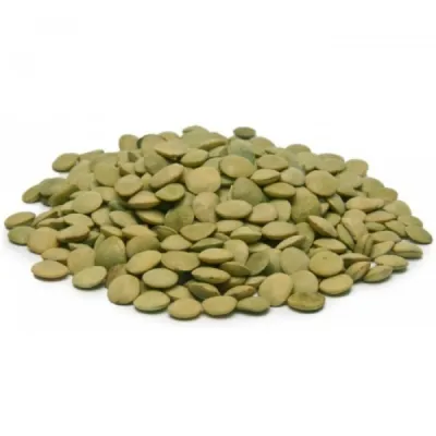 Lentilha Canadense - 45.36 Kg