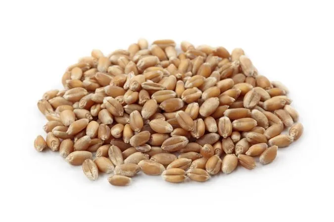 Trigo Em Grão - 1 Kg da Rock Snack